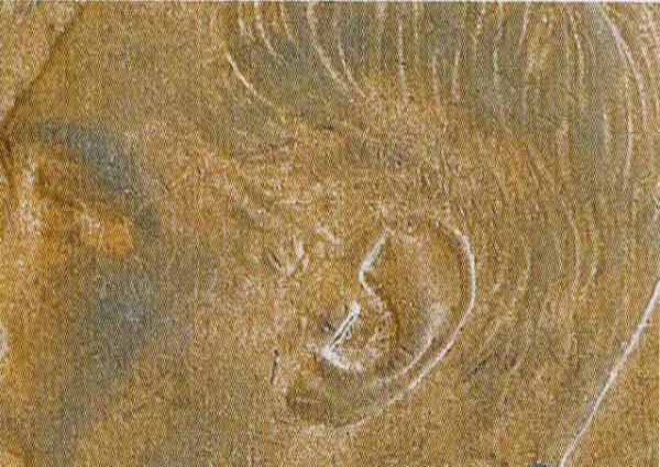 1943-I-Penny-Broadstruck-Error